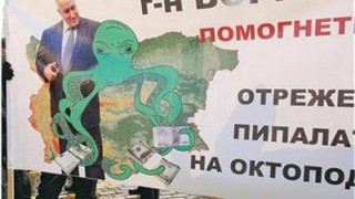 ОЛАФ захапа "зелен октопод" за €30 млн.