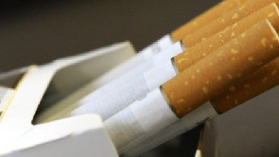 Българчета бачкат на тютюневи полета | StandartNews.com