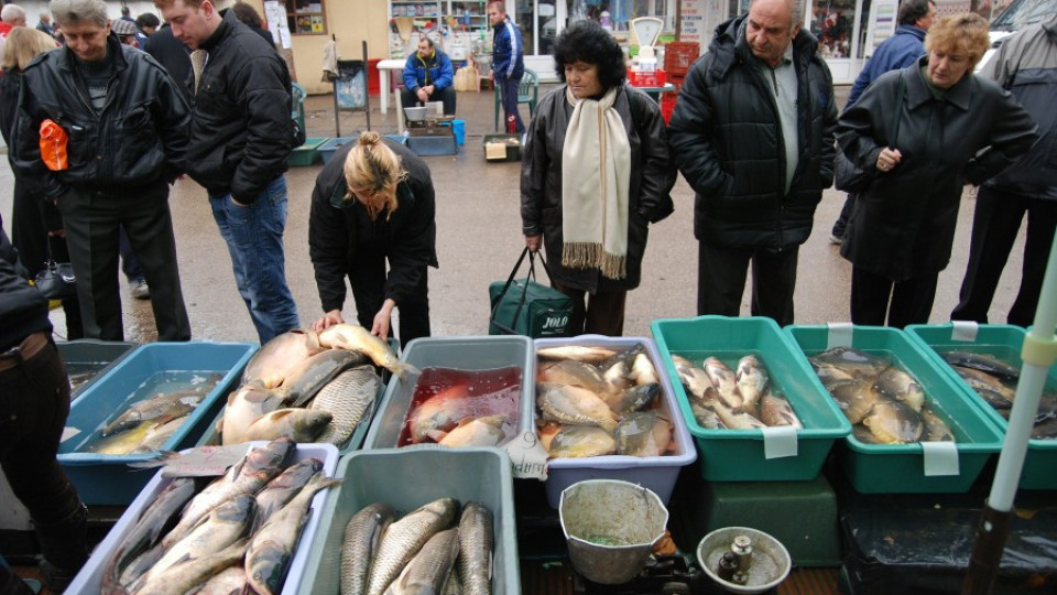 Свалят цената на рибата преди Никулден | StandartNews.com