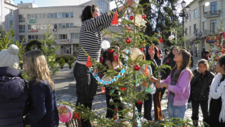 "Булевард на елхите" грейва в Разлог