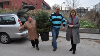 Герберки дариха с Коледни дръвчета домове за сираци