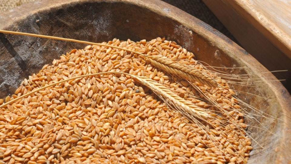 Само европейци ядат житото ни      | StandartNews.com