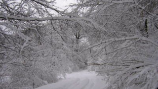 Снегът затвори пътища в Разградско