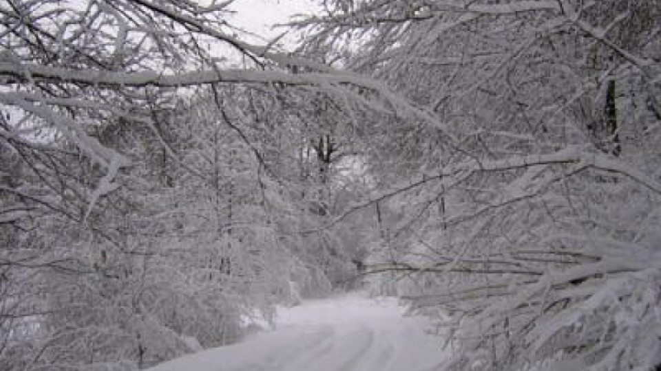 Снегът затвори пътища в Разградско | StandartNews.com