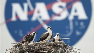 НАСА разби Армагедон