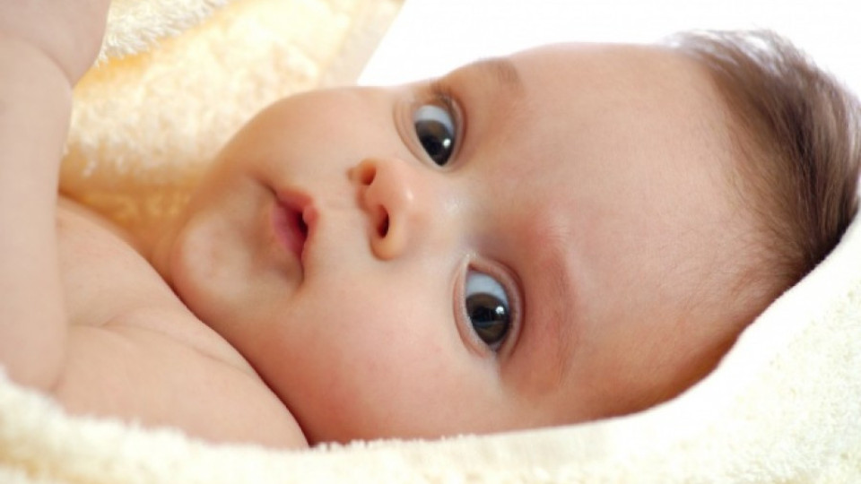 Изпращаме 2012-а с по-малко бебета | StandartNews.com