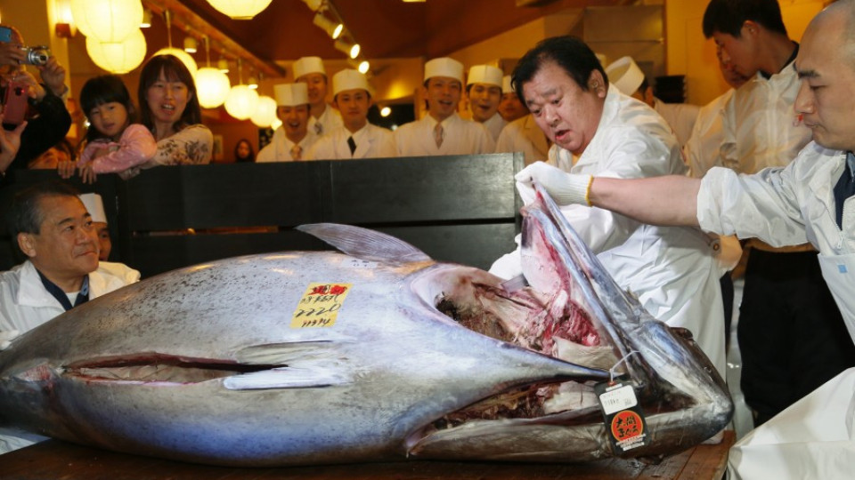 Дават $1,8 млн. за риба тон | StandartNews.com