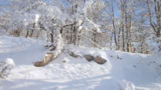 30 см сняг в Кърджали