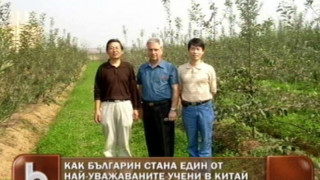 Китай сменя оризовите плантации с БГ ябълки