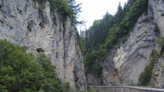 Пазят природата с европари