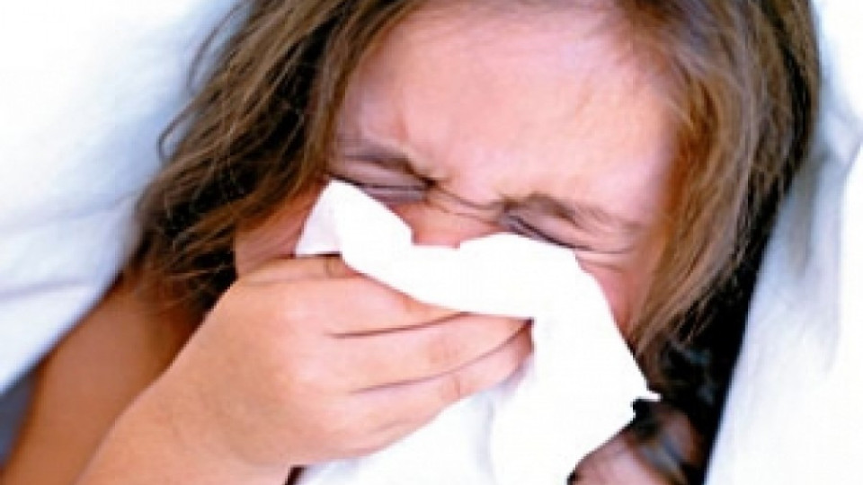 Свинският грип дойде от Дунав мост    | StandartNews.com