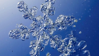 Руският студ взе 207 жертви