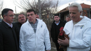 Азис праща багери за мъртвите кокошки