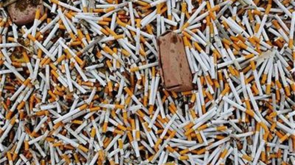Русенец върти канал за контрабандни цигари | StandartNews.com