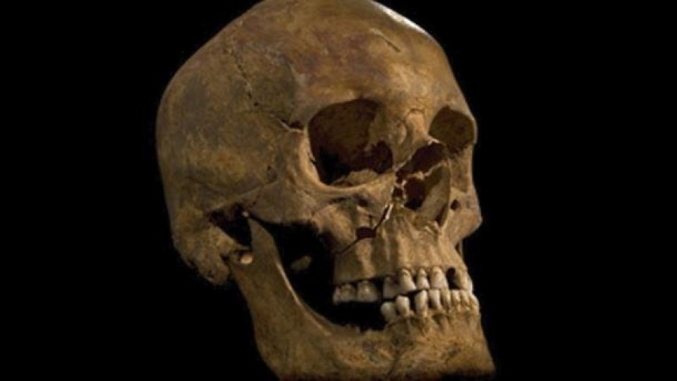 Откриха останките на крал Ричард Трети   | StandartNews.com
