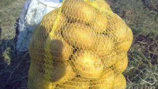 Картофите скочиха с 65% за година
