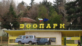 Няма недохранени животни в зоопарка