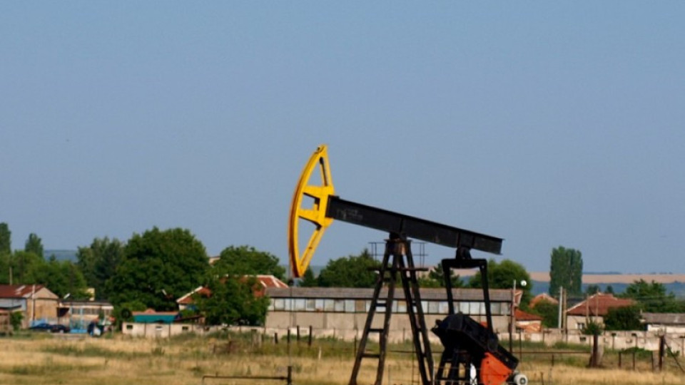 Море от нефт под Криводол | StandartNews.com