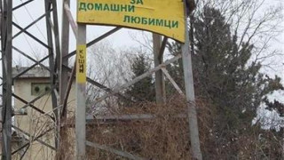 50 бона за кучешки алеи край морето