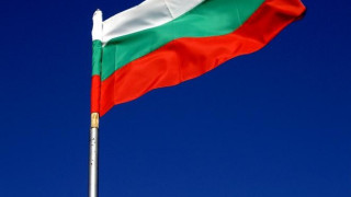 Инвалид накълца 7 трибагреника 