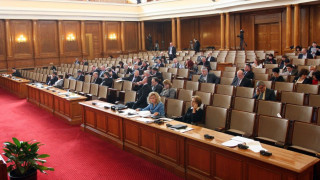 Депутатите си биха камшика 