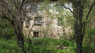 Столичани и чужденци окупират безлюдна село