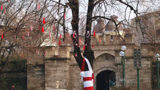 Правят дърво на Баба Марта