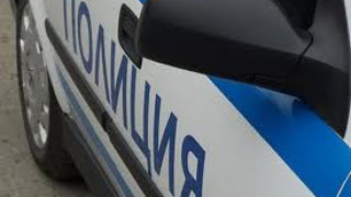Убийците на Петя  скачали по корема й   