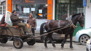 Берлин ни готви визи (обобщение)