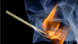 Седем германци загинаха в пожар