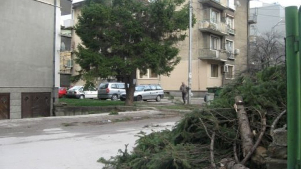 Бурята уби жена | StandartNews.com