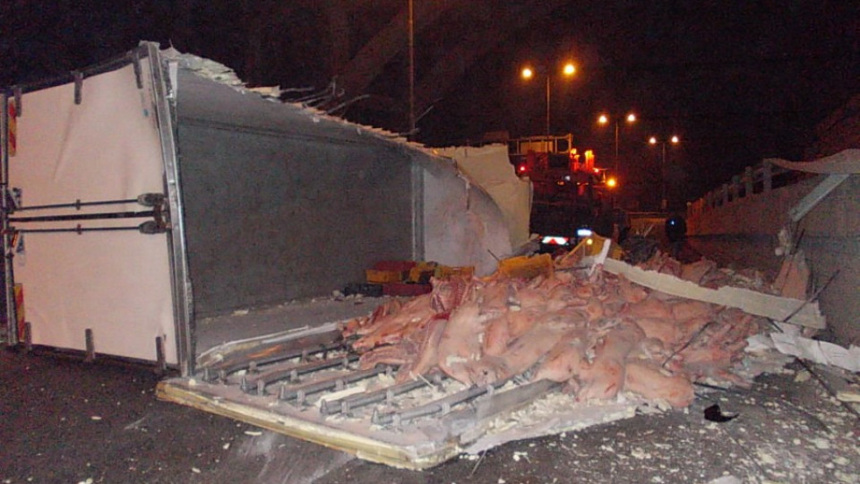 Камион разсипа пресни пържоли до Търново | StandartNews.com