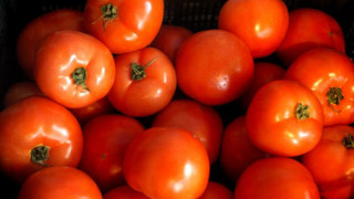 Доматите скочиха с 11% за седмица