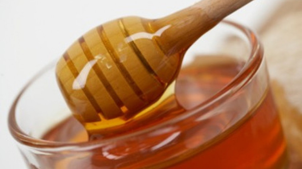 Освен закони Френският парламент ще произвежда и мед | StandartNews.com