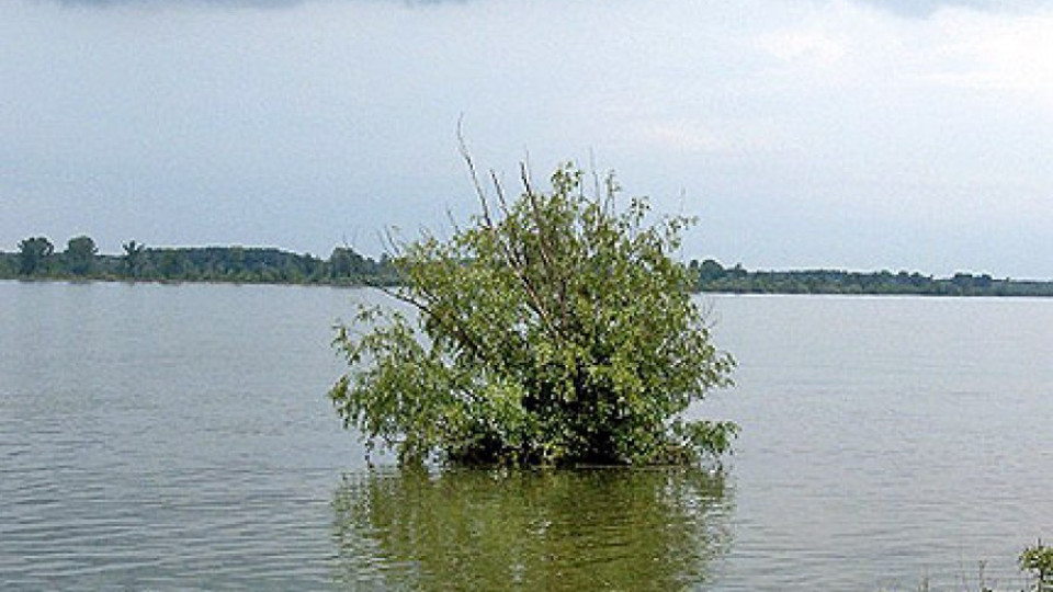 С 31 см. се е повишило нивото на Дунав за 24 часа | StandartNews.com