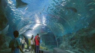 Руснаци наливат 100 милиона лева в бургаския океанариум