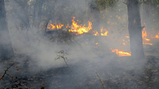 Опасност от пожари в седем области у нас