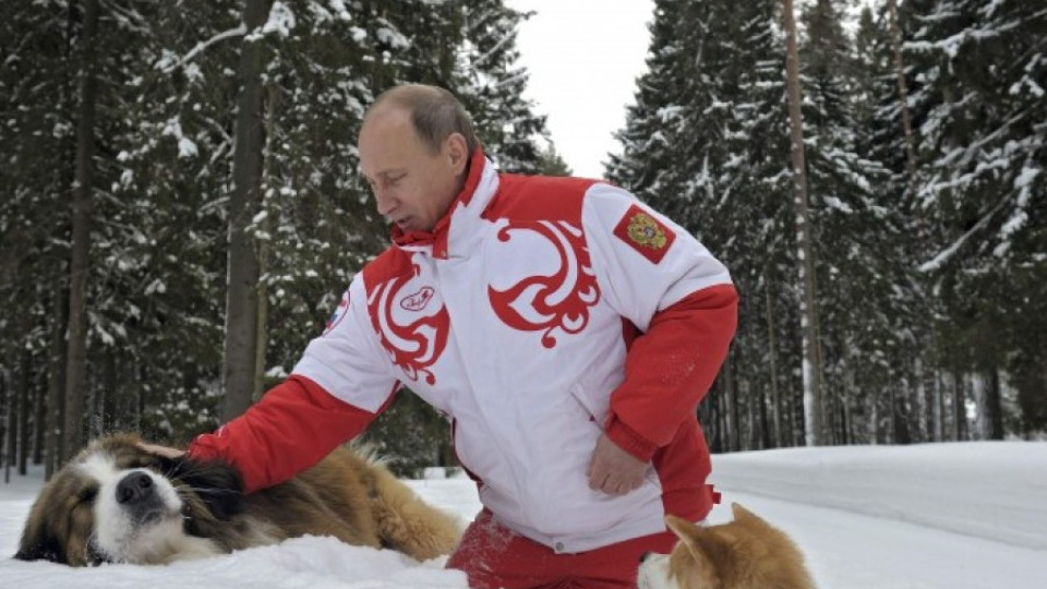 Финландия изкара Путин престъпник | StandartNews.com