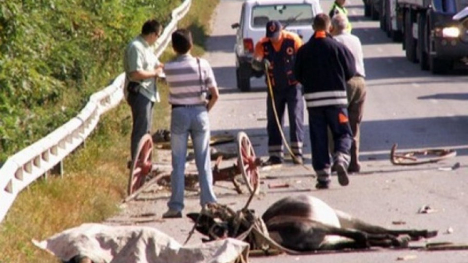 Катастрофа с кон затвори магистрала Люлин  | StandartNews.com