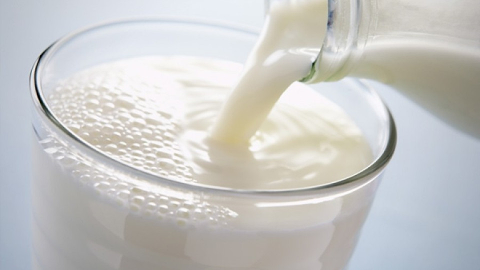 Турция отново пуска българското мляко | StandartNews.com