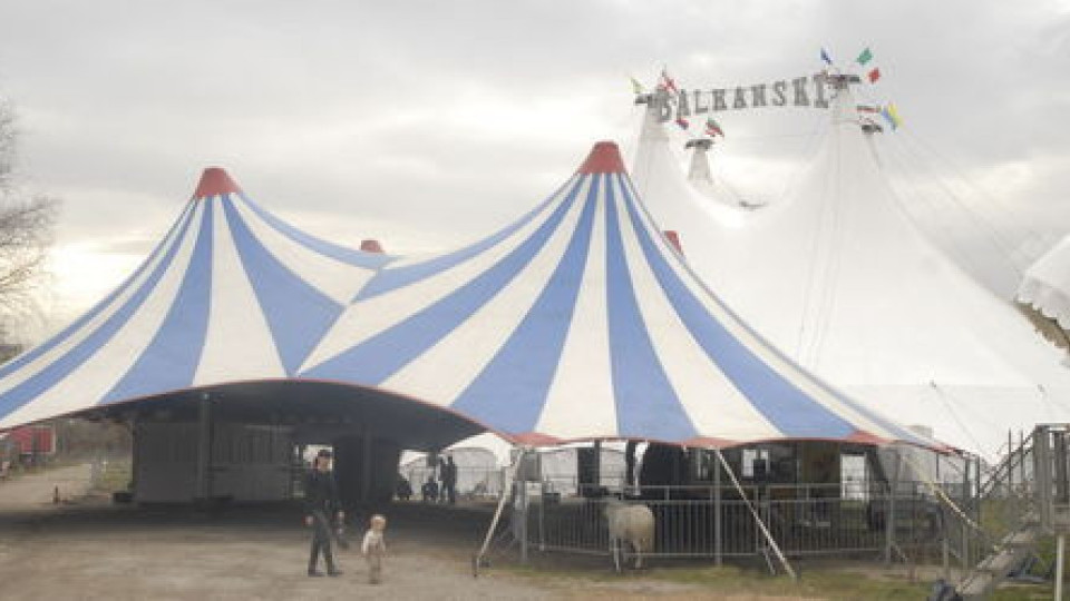Каскадьори се сблъскаха в цирк "Балкански" | StandartNews.com
