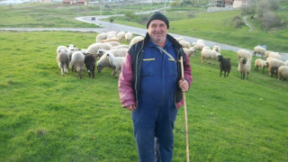 Овчари треперят от крадци преди Великден