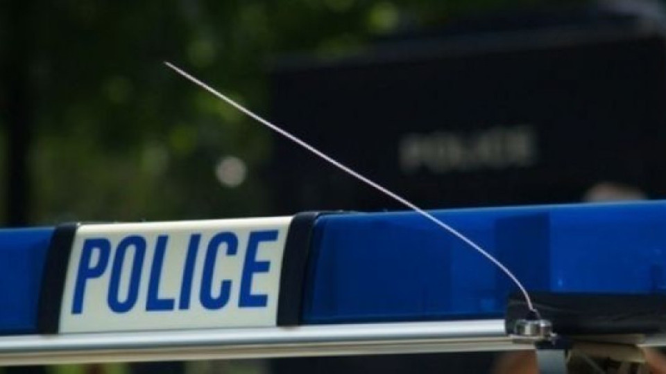 Спипаха ромите, ранили петима полицаи с камъни | StandartNews.com
