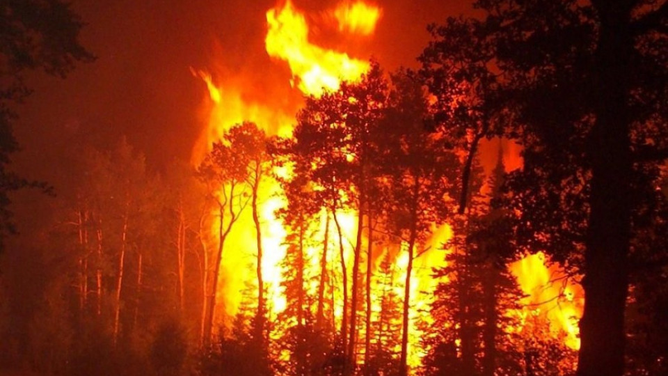 Пожарът в Калифорния е овладян | StandartNews.com