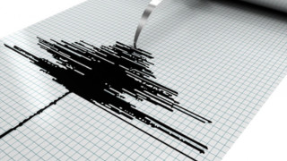 Земетресение разтърси южен Иран
