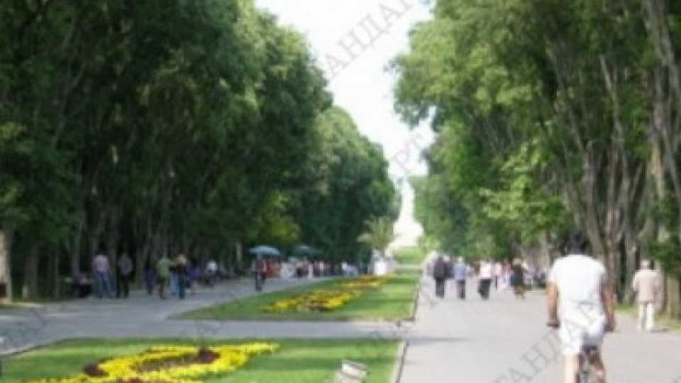 Зелен патрул и паяк шетат в Морската градина | StandartNews.com