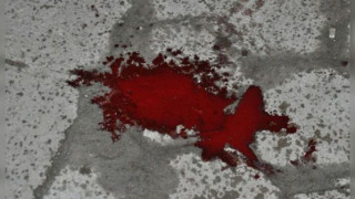 Локви с кръв след дербито на Пловдив