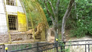 Сага с изчезнали животни в зоопарка в Благоевград
