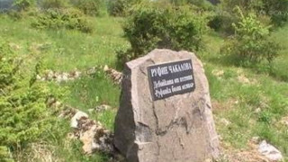 Бяла кадънка расте само на гроба на Руфинка