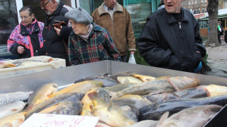 Откриха тонове мъртва риба край язовир